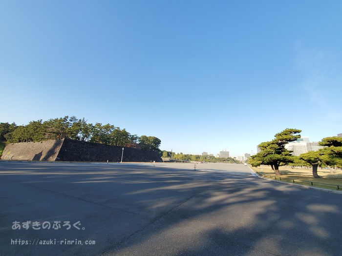 koukyo-running-top-202001_04
