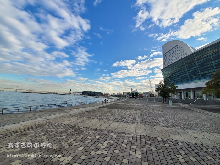 minatomirai-running-top-rinkoupark-201912