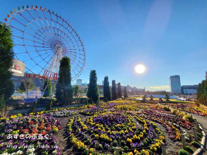 odaiba-running-top-a-201912_03
