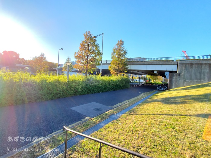 odaiba-running-top-b-201912_01
