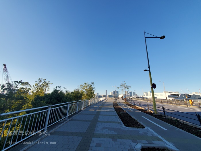 odaiba-running-top-b-201912_02