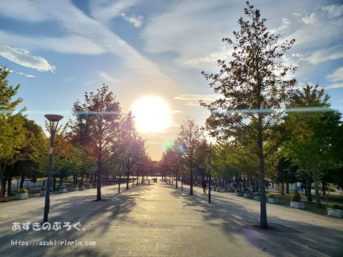 hutarisezon-odaiba-running_11