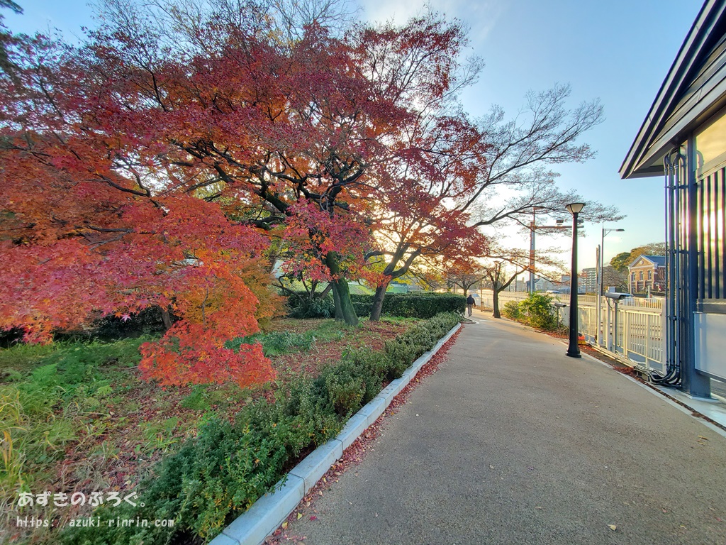 gimp-blur-sample-df-20191221