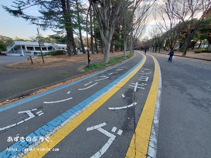 running-course-tokyo-ranking-202001-komazawapark_01