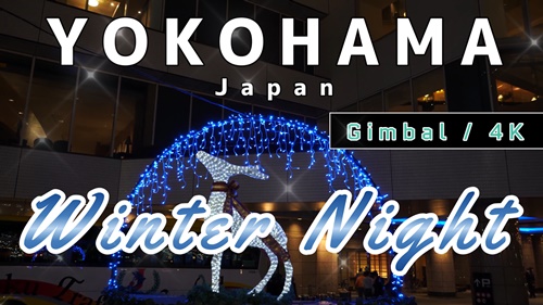 YouTube 横浜 Winter Night