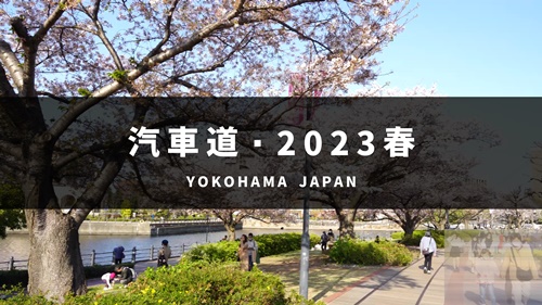 サイドバー YouTube 汽車道・桜 2023